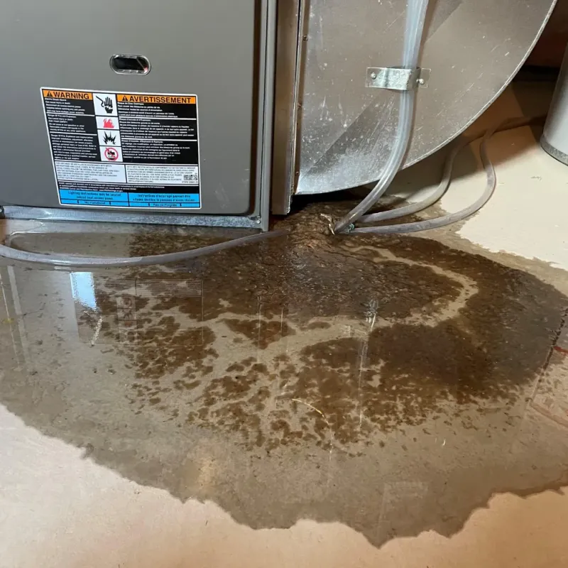 Appliance Leak Cleanup in Boardman, OR