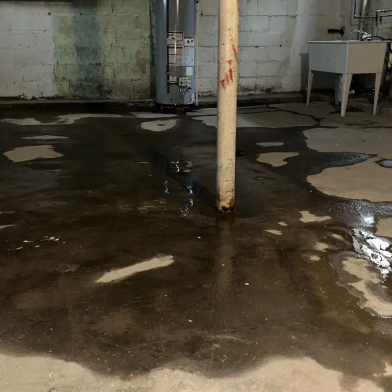 Emergency Water Extraction And Removal in Boardman, OR